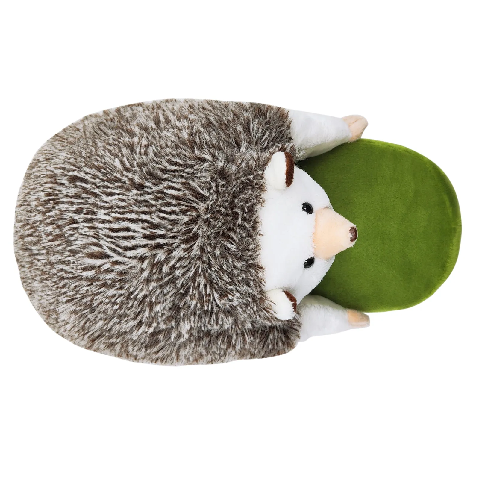 Hedgehog Slippers